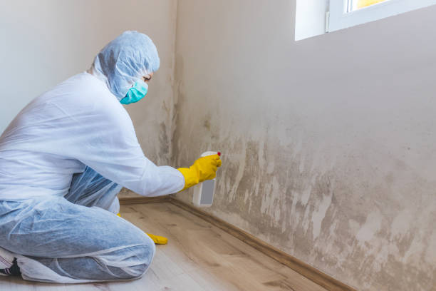 Mold Remediation specialist working in Middletown